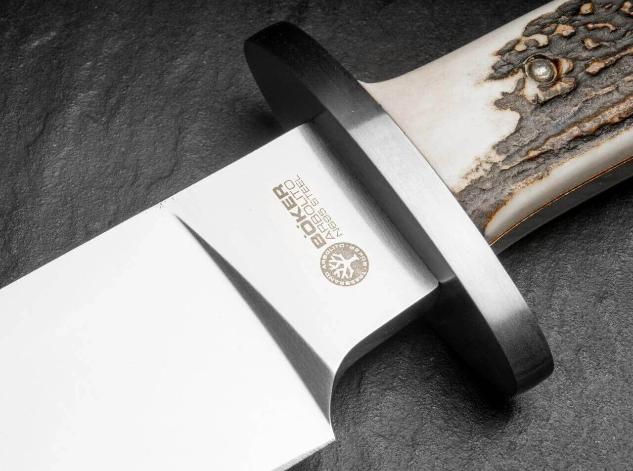 El Gigante Hirschhorn 3 El Gigante Hirschhorn – Bild 3