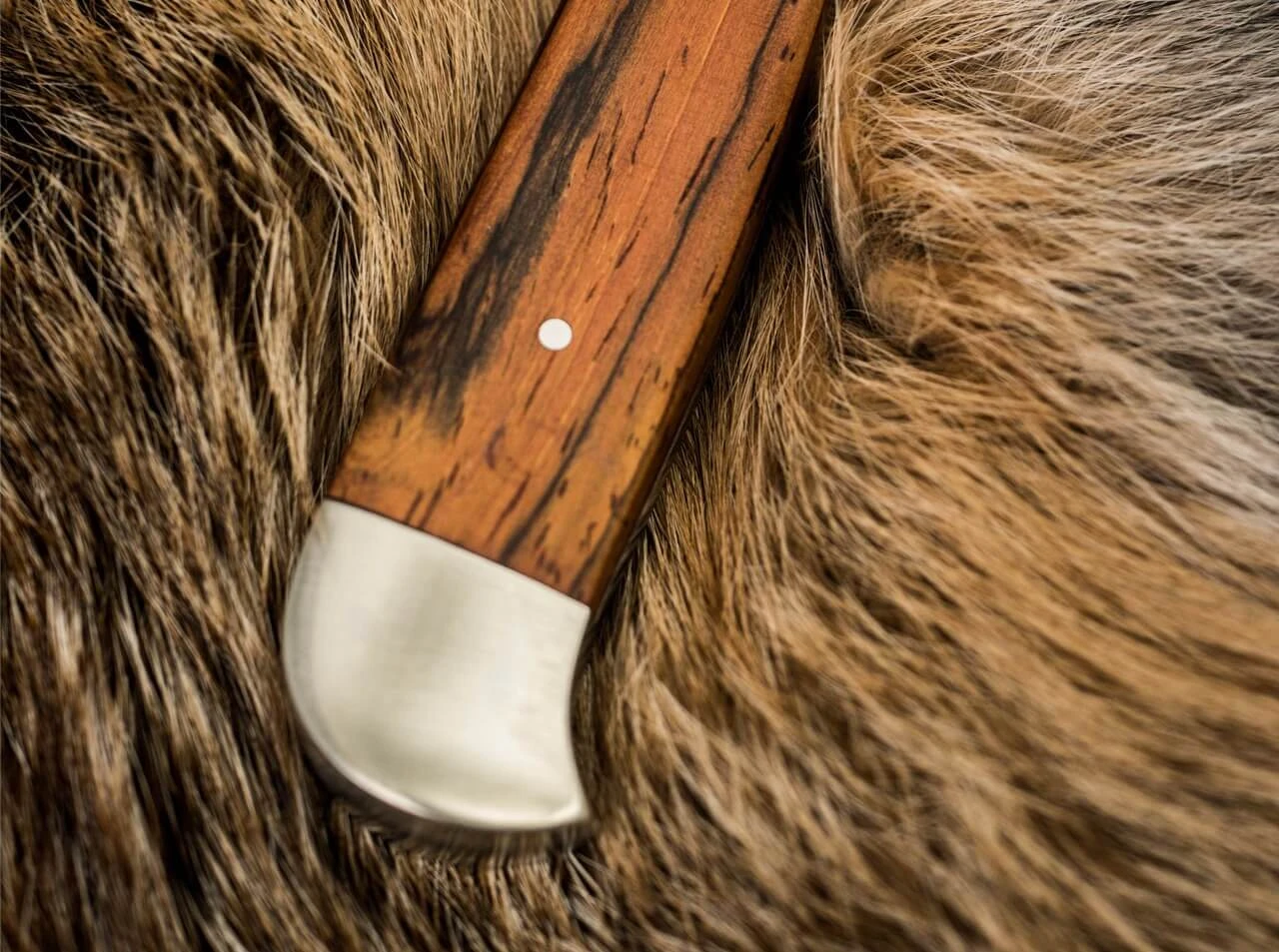 Försternicker Cocobolo 4 Försternicker Cocobolo – Bild 4