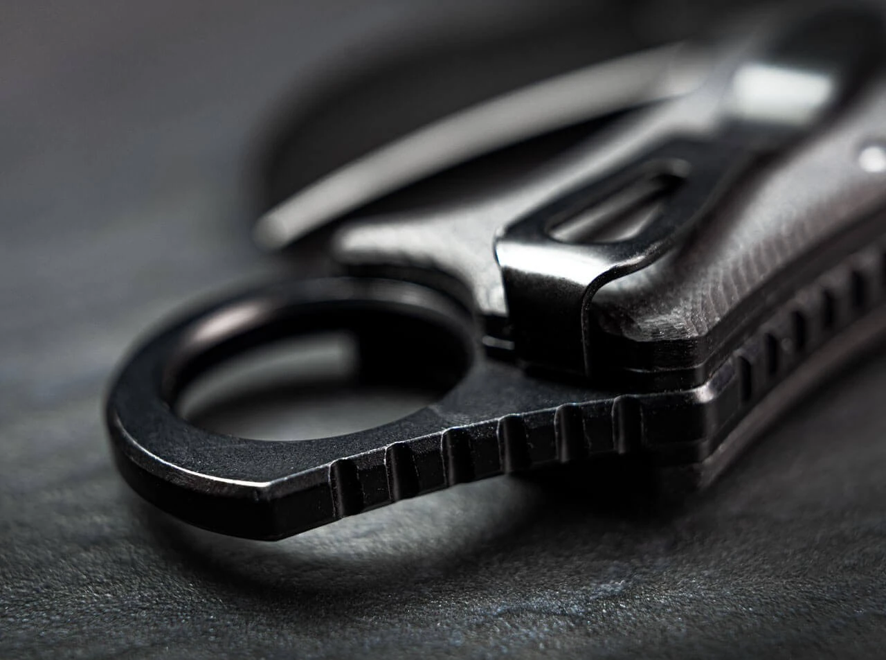 Ocelot 4 Ocelot – Bild 4