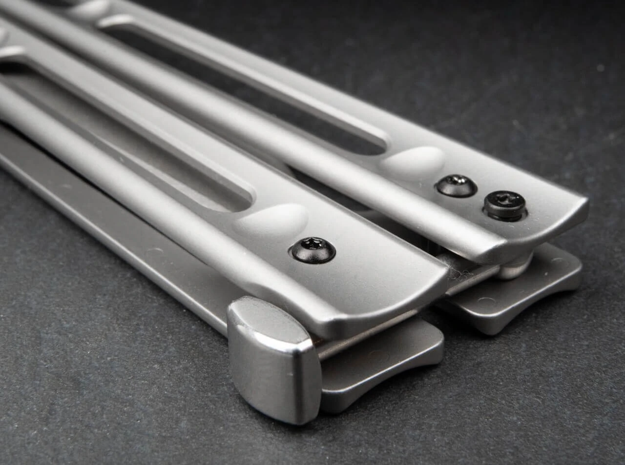 Papillon 4 Papillon – Bild 4