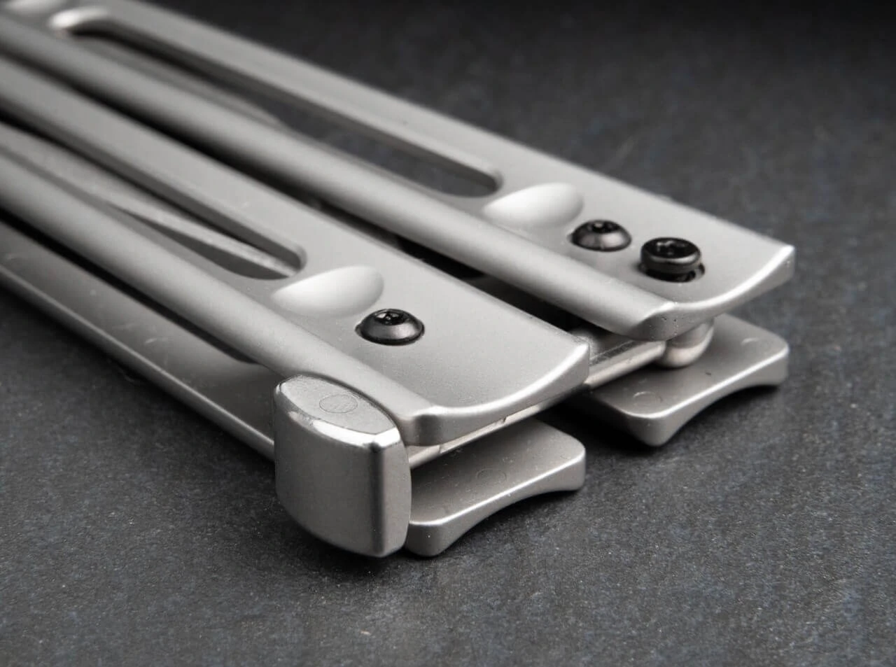 Papillon Trainer 3 Papillon Trainer – Bild 3