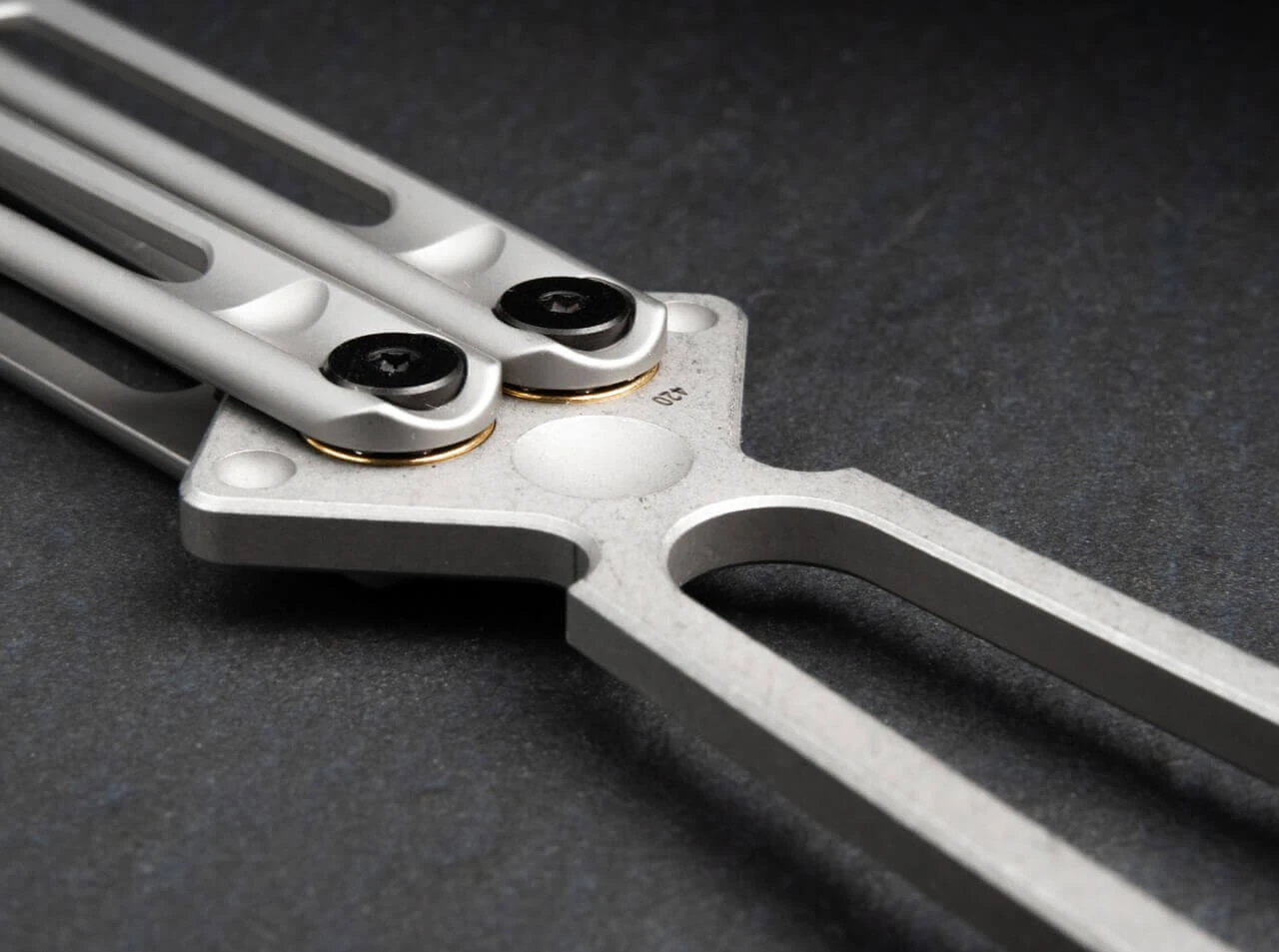 Papillon Trainer 4 Papillon Trainer – Bild 4