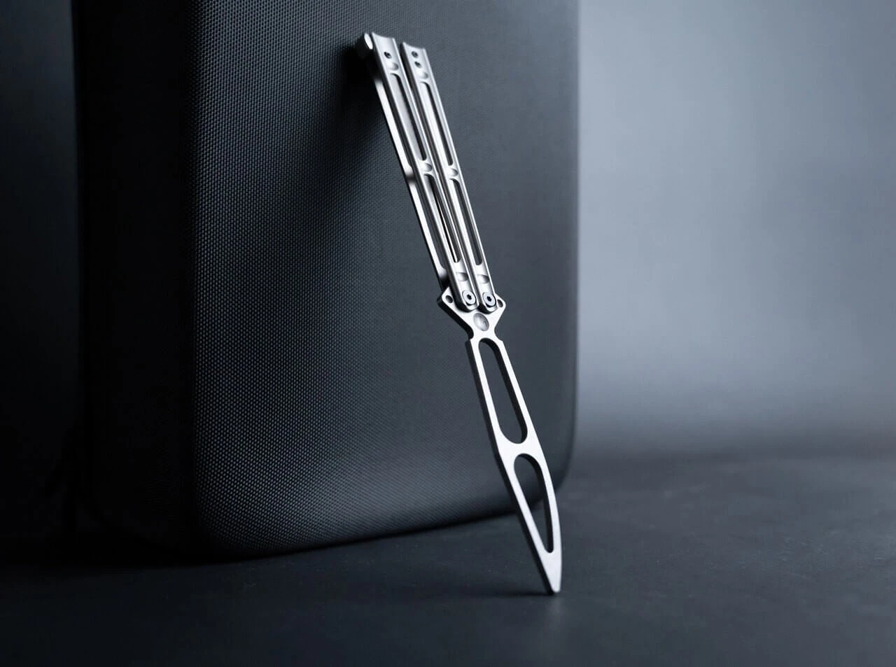 Papillon Trainer 5 Papillon Trainer – Bild 5