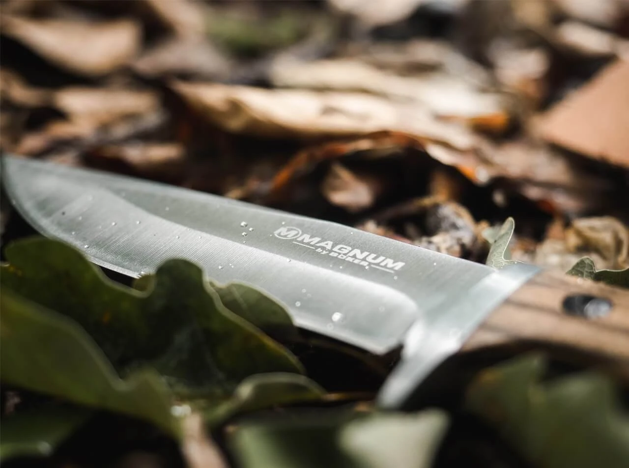 Magnum Zebra Drop 6 Magnum Zebra Drop – Bild 6