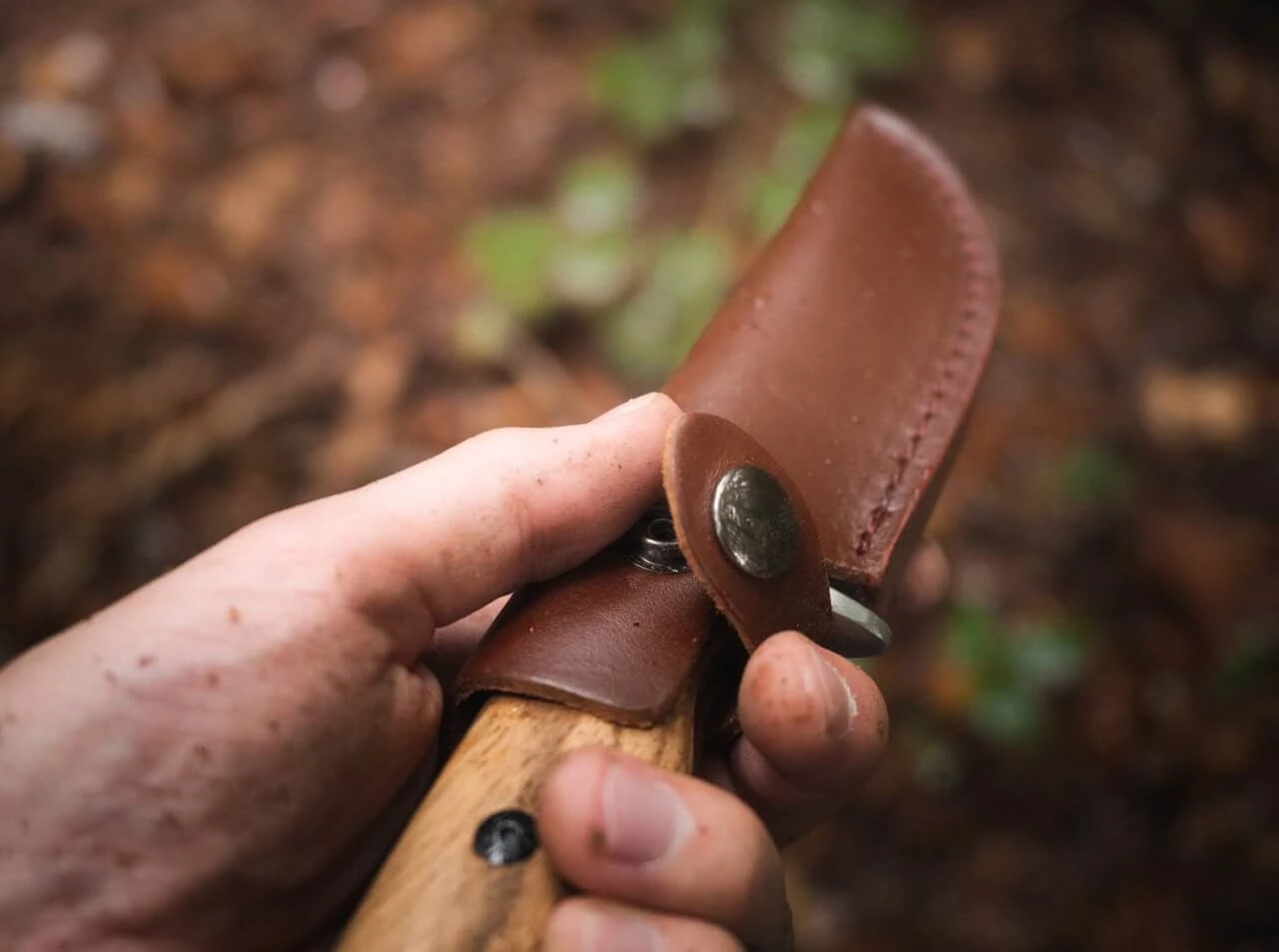 Magnum Zebra Drop 8 Magnum Zebra Drop – Bild 8