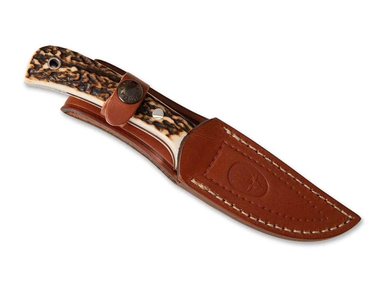 Terrier 2 Terrier – Bild 2