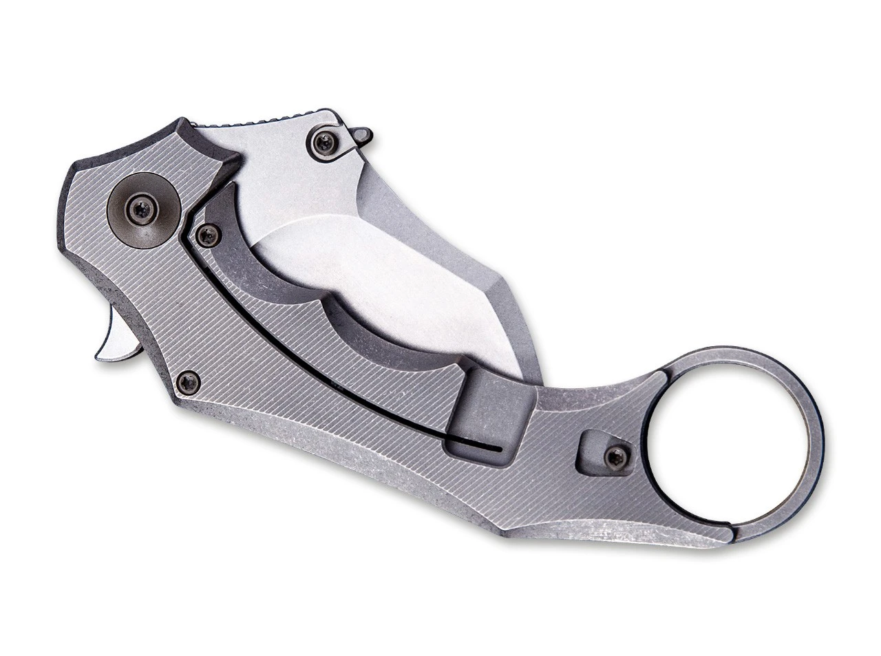 Incisor Grey 2 Incisor Grey – Bild 2